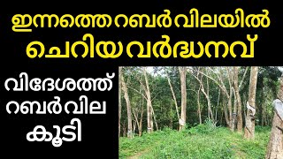 ഇന്നത്തെ റബർ വില  വിദേശത്ത് റബർ വില കൂടുന്നു  Manojnediyackal rubber tapping [upl. by Ellehcin]