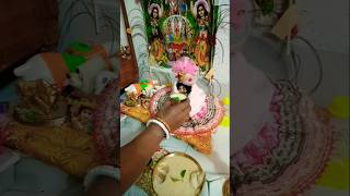 কৃষ্ণ ভজ কৃষ্ণ জপ 🙏hare Krishna radheradhe harekarishna jaigopal [upl. by Ilrebmyk]