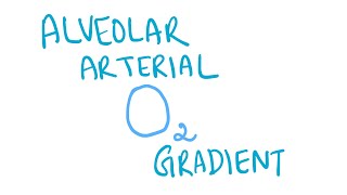 Alveolar arterial oxygen gradient [upl. by Brieta]