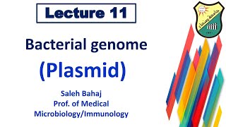 11 Bacterial genome plasmid [upl. by Asilej]