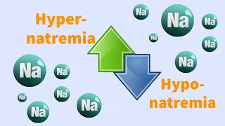 Sodium  Electrolyte imbalance Hyponatremia  Hypernatremia pathologypathologylab biochemistry [upl. by Ky502]