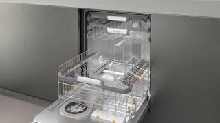 Miele Dishwasher  Cleaning the drain pump [upl. by Bengt187]