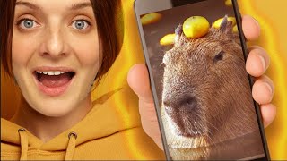 Le Capybara un animal trop populaire [upl. by Rawley]