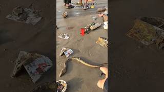 Rescued a Sea Snake😱😱fishingbeach surajroxfunnyvibeo vikram viralvideo shortsfeed viralshorts [upl. by Noryahs]