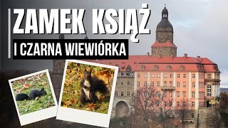 CZARNA WIEWIÓRKA I ZAMEK KSIĄŻ hitplanetapl ODC 24 S 7 vlog karawaningpolska podróże zamek [upl. by Toby]