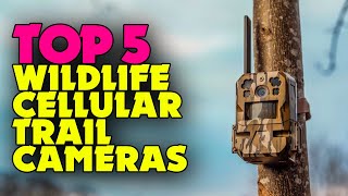 Top Wildlife Cellular Trail Cameras for 2024 – Capture Every Moment [upl. by Theta]