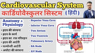 Cardiovascular System in hindi  Structure of Heart  Blood Circulation  SA Node AV Node  Artery [upl. by Lejna]