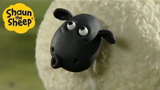 Shaun the Sheep 🐑 EPIC SHEEP  Cartoons for Kids 🐑 Full Episodes 🐑 Full Season 1 [upl. by Assylla]