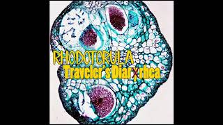 Rhodotorula  Travelers Diaryrhea official album streaming [upl. by Butterworth]