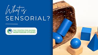 What is Sensorial  Montessori Points of Interest [upl. by Trainer7]