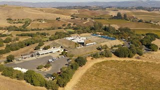 Artesa Vineyards amp Winery in Napa  Aerial View [upl. by Nairrod]