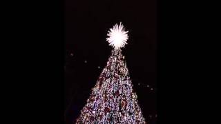 Silver Dollar City Christmas Tree lighting [upl. by Linnell]