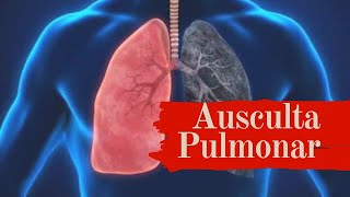 Ausculta Pulmonar  roncos sibilos estertores  ruídos adventícios [upl. by Irrem]