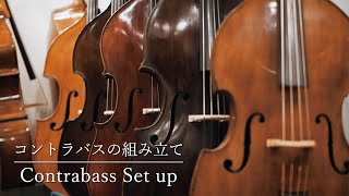 コントラバスのセットアップ弦楽器工房の様子 [upl. by Noterb]