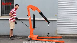 Heavy Duty Single Arm Crane SC1000 [upl. by Notnerb]