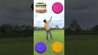 Birthday cake chocolate candy icecream to Spinning biscuits  funny vfx video shorts [upl. by Gothart]