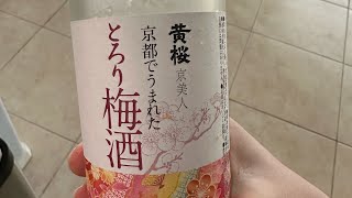 Japanese wine taste test [upl. by Ellehcor]