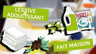 🌸DIY  Fabriquer sa lessive amp son adoucissant naturel maison🌸 [upl. by Terrie]