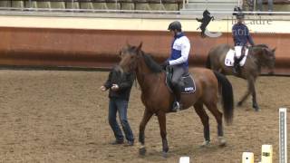 34 Journée Sport  Travail avec W FoxPitt Groupe 2 [upl. by Ellerd]