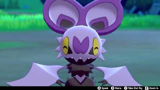 Noibat In Camp  Pokemon Sword amp Shield [upl. by Nevada592]