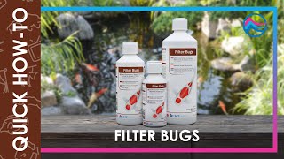 Filter Bugs  Quick HowTo [upl. by Corene]