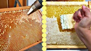 BEST HONEYCOMB UNCAPPING ON YOUTUBEOddly Satisfying [upl. by Parrisch]