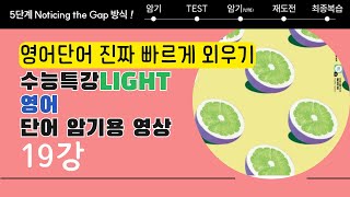 수능특강 Light 영어 19강  단어 암기 테스트 한방에 [upl. by Tedd]