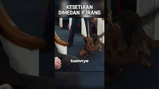 KESETIAAN TERAKHIR DIMEDAN P3RANG [upl. by Pike]