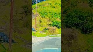 travel onroad trending viralvideo hills train views [upl. by Bobinette]