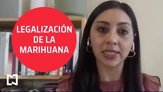 Legalización de la marihuana en México  Agenda Pública [upl. by Naanac]