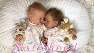 Reborn Life Reborn Afternoon Routine With Two Newborns 🧸 Relaxing Reborn Video [upl. by Lizbeth]