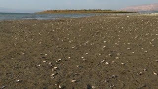 Water level of the Sea of Galilee keeps dropping due to drought [upl. by Anisor]