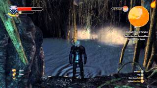 The Witcher 3 Contract Devil by the Well  Quest Walkthrough [upl. by Ignatius974]