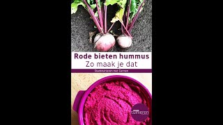 Stadstuinieren  Rode bieten kweken en oogsten  Recept Rode bieten hummus moestuin [upl. by Petronia18]