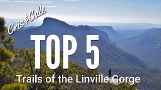 Top 5 Trails of the Linville Gorge  Best Hiking in North Carolina  Pinchin  Hawksbill  Shortoff [upl. by Nuahsal]