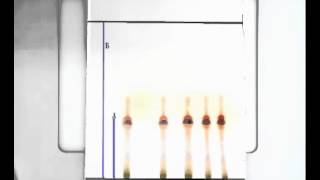 10 Thin layer chromatography  TLC [upl. by Eicnan]