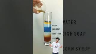 Different density liquid experiments science scienceexperiment physics chemistry shorts [upl. by Leimad118]