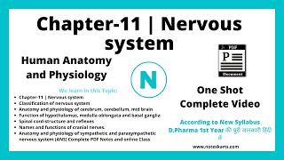 Chapter 11 Nervous System HAP DPharma 1st Year Class Nervous System complete class Noteskarts [upl. by Eniluj273]