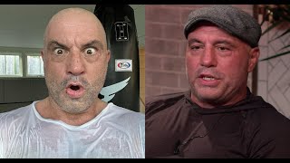 Testosterone and Cancer on Joe Rogan Podcast [upl. by Attenor]