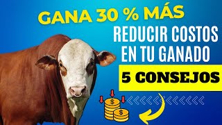 🐂5 CONSEJOS PODEROSOS PARA BAJAR COSTOS EN TU GANADERÍA⭐🐄 GANA MÁS GASTANDO MENOS ✅ [upl. by Malamut]