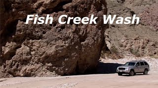 Shocking Discoveries Unveiling the Insanity of Fish Creek Wash [upl. by Urion510]