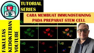 TUTORIAL MEMBUAT IMMUNOLUORESCENCE STAINING PADA PREPARAT STEM CELL [upl. by Westphal550]