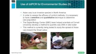 Applying Droplet Digital™ PCR to the Study of Environmental Samples [upl. by Krishna115]