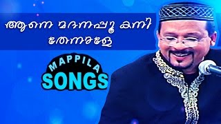 ആനെ മദനപ്പൂ കനി തേനാളെ  Malayalam mappilapattukal  Edappal Bappu Songs 2015 [upl. by Behre]