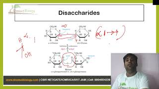 Disaccharides [upl. by Wampler]