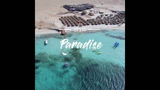 This is Why Paradise Island Hurghada is Going Viral [upl. by Olethea]