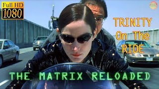 TRINITY on the Ride in The MATRIX RELOADED [upl. by Ythomit477]