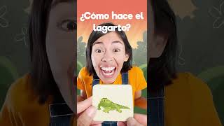 🦎 menique leon lagarto lobo videosgraciosos 123andres alfabeto aprendeespañol education [upl. by Ancalin835]