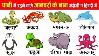 Water Animals Names in English and Hindi  Ocean Animals  Sea Creatures  जलचर प्राणी [upl. by Attem]