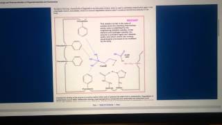 Biochemistry of OrganicPhosphorous Nerve Agents [upl. by Dannon]